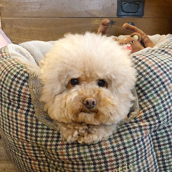 A19e3995 795b 4409 9166 2fddb89b1123 1516160635302