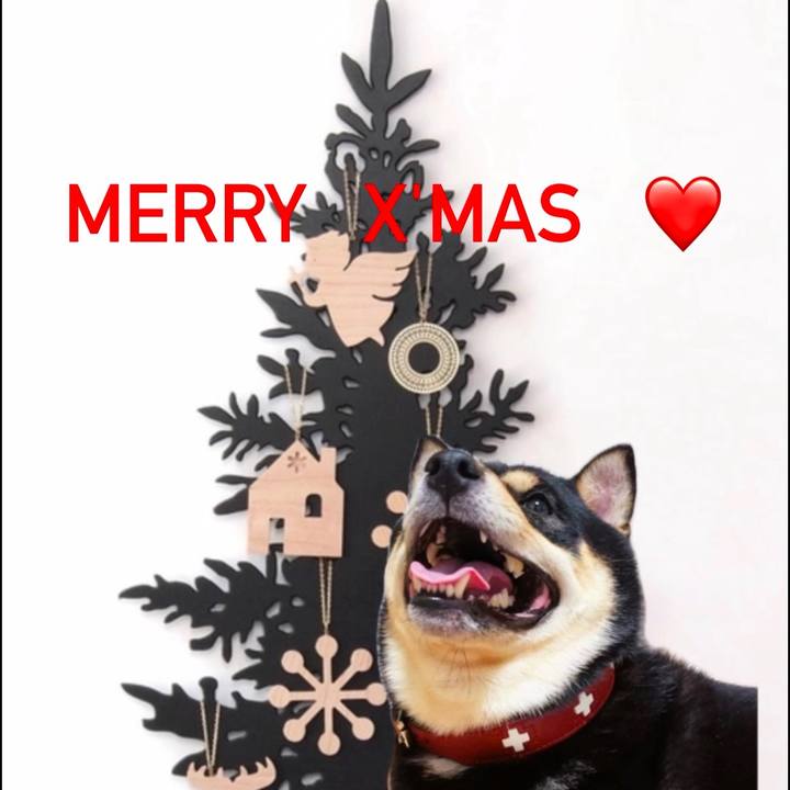 A19e40bb bfaa 4c4d a087 1d1ddc27ca06 1735122722095