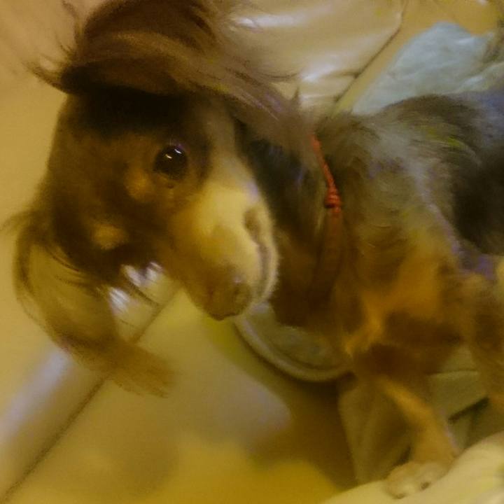 A19e4fa6 7fad 4ce7 918f 94928a62bcae 1522490237930