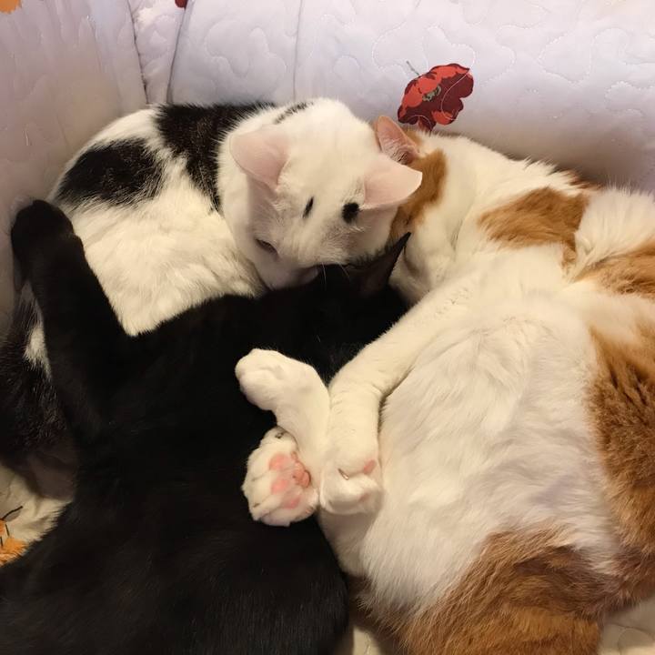 A19e7b97 c7fb 4e28 a661 26476df2a3fd 1571479529098