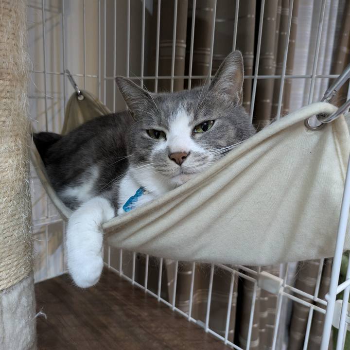 A19e8220 3dd6 46ef b374 daea09534593 1755355666738