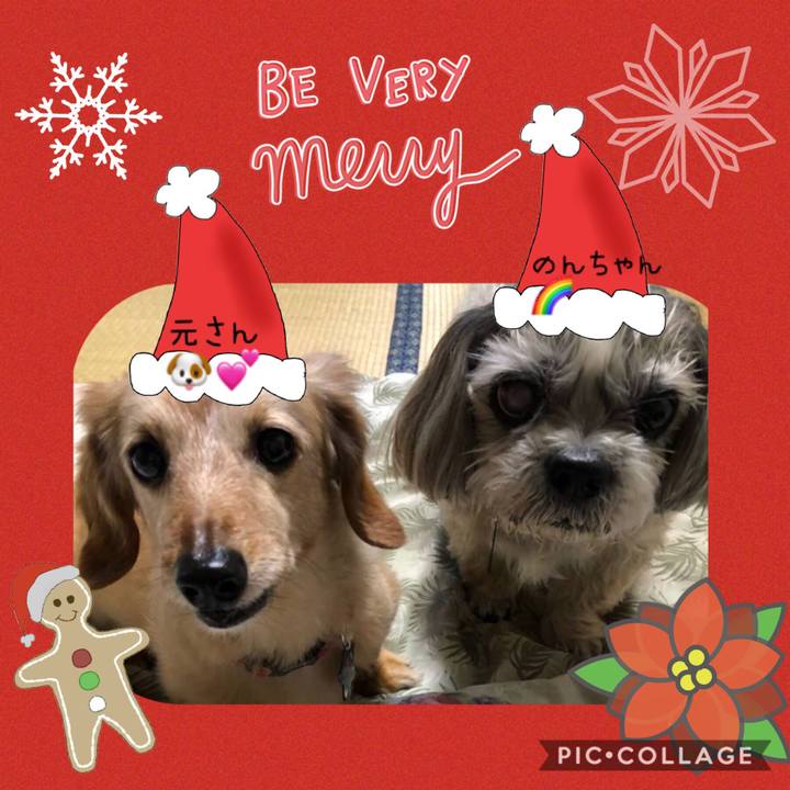 A19ea632 78df 4134 b479 b6fbe3ebde5c 1545023375737