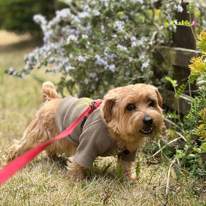 A19eb23c c1cf 4c5e a7f7 6e02162e0990 1762682356191