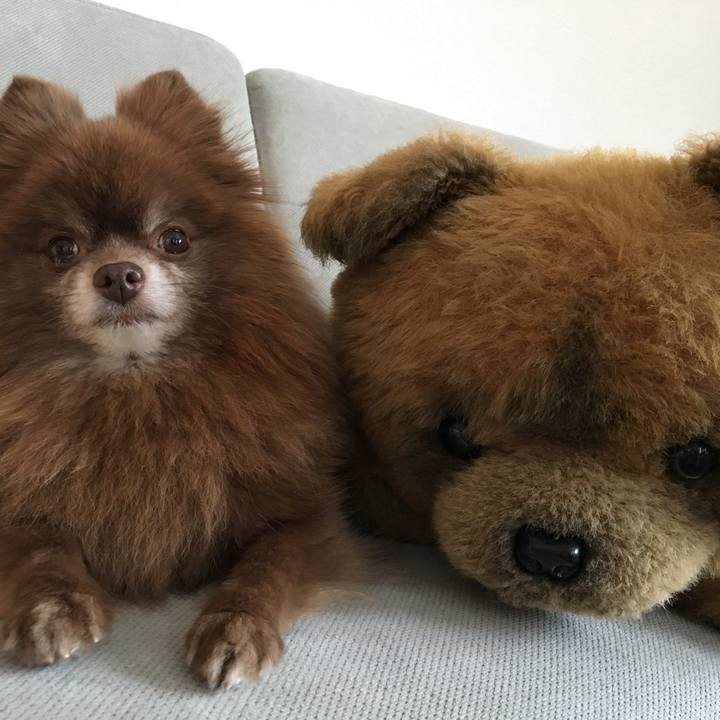 A19eb45d 9103 4b3c 9774 52d465c2ee0d 1515820225576