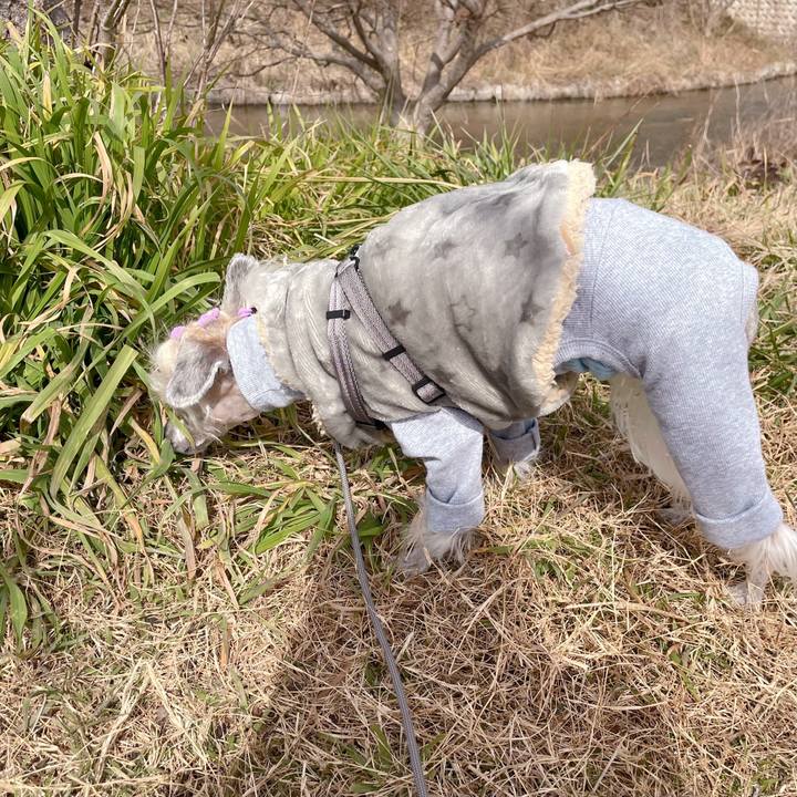 A19edd45 495c 4018 988a fd86886483b5 1771919492062