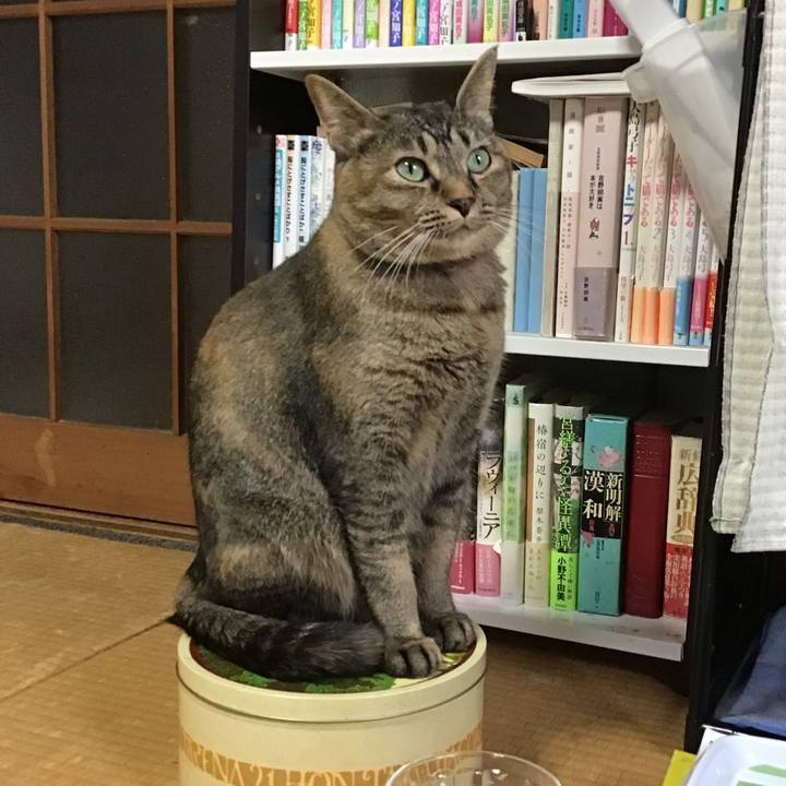 A19f02f4 9026 49c5 afd5 5fa839cf360a 1631426196802