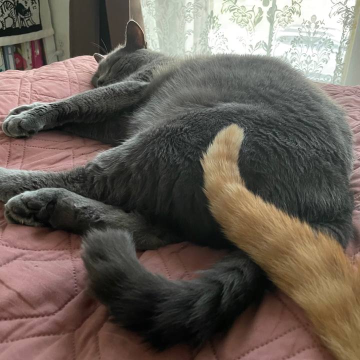 A19f0e73 9f71 4695 b3d9 2eb670eeae19 1769479827441