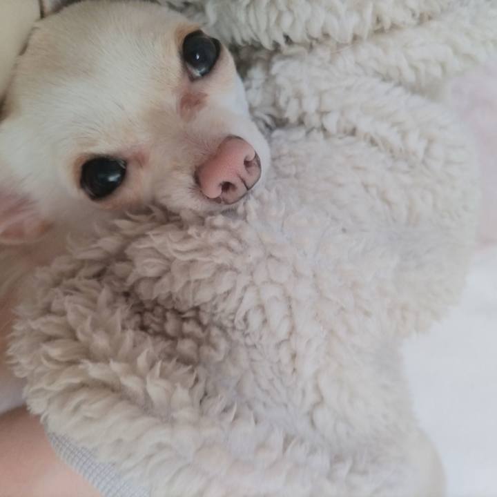 A19f4b86 2c25 4ff9 85cb 717df5c21084 1737109955367