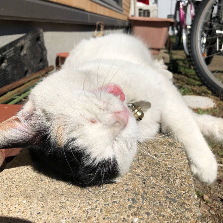 A19f66dc 0599 4f62 a94e f8c2cc9f7845 1612769313217