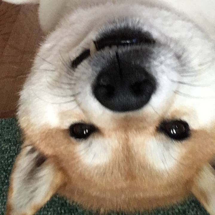 A19f9c7d 5417 49c1 b8b5 d6fcbc22578e 1565149743255