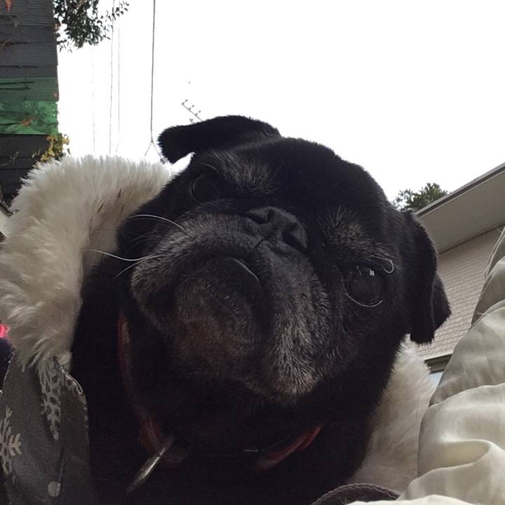 A19fa274 f11e 4cd2 a68f f26650e80a2b 1545978244366