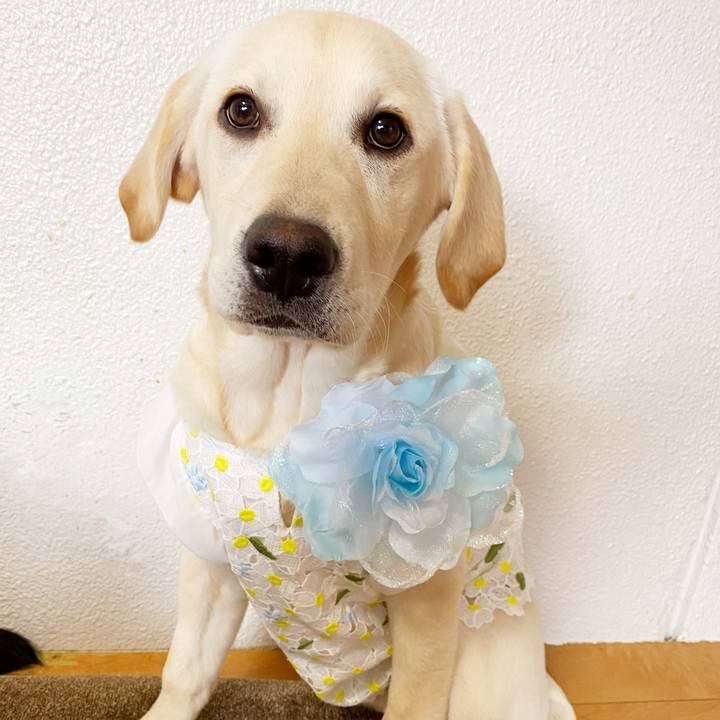 A19fae53 25e9 497c a876 3559d49e9659 1622849416565