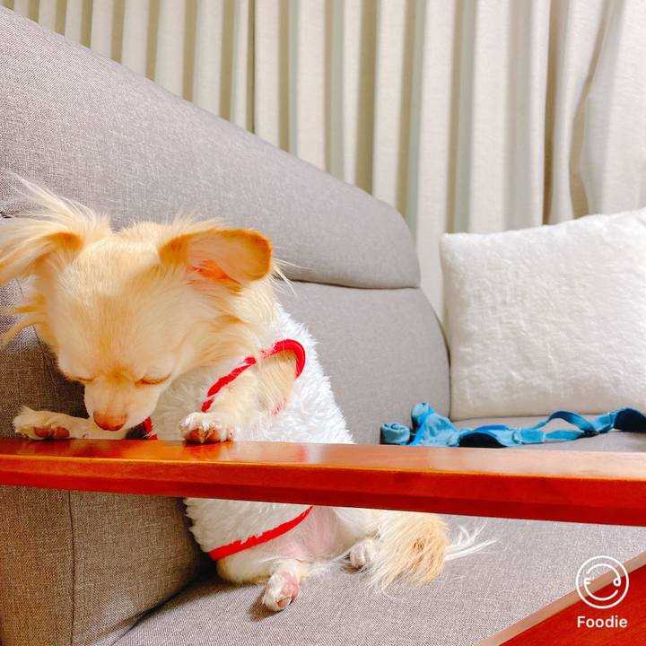 A19fb7a3 66d5 4be4 bfd5 74b83ef49213 1642682195639