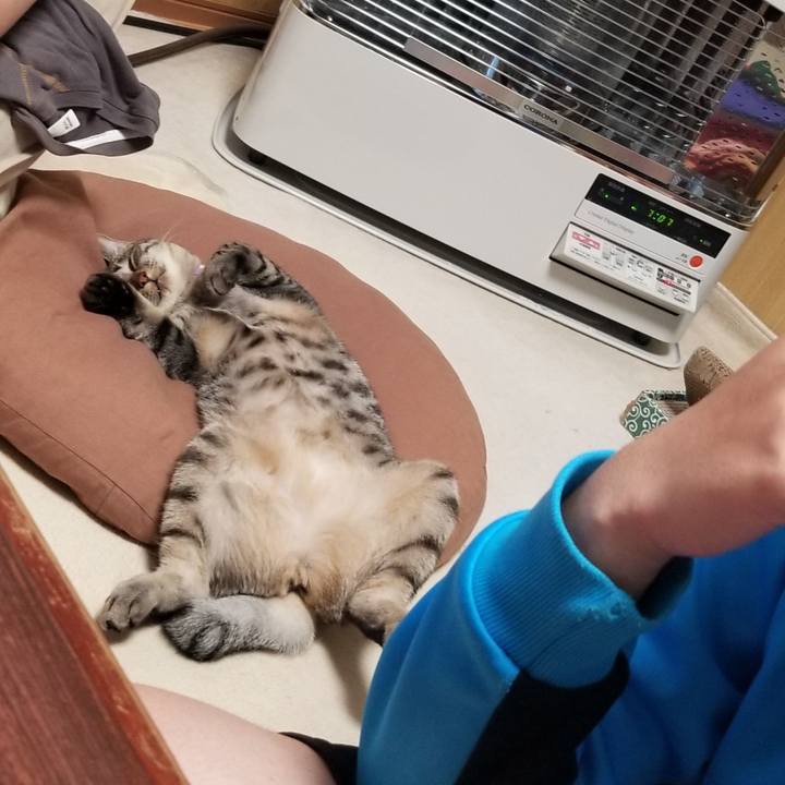 A1a00588 bd2e 4964 ac16 512ed0511348 1686054625112