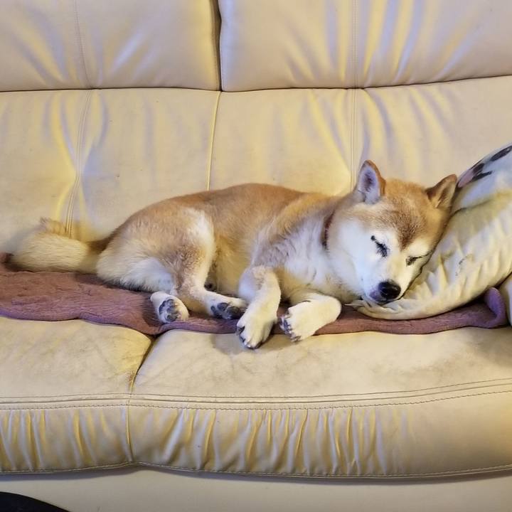 A1a00e8f 037c 4e73 a1f4 b686187b54b5 1754561787934