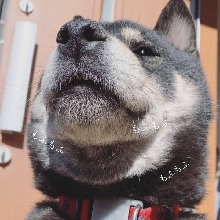 A1a0936b 9513 40d9 abe5 b0f34d6ad025 1612513227580