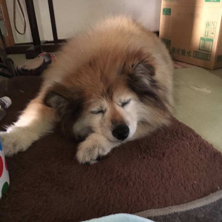 A1a096fa 11f0 4bfd 8329 ae0e0247e566 1554453141524