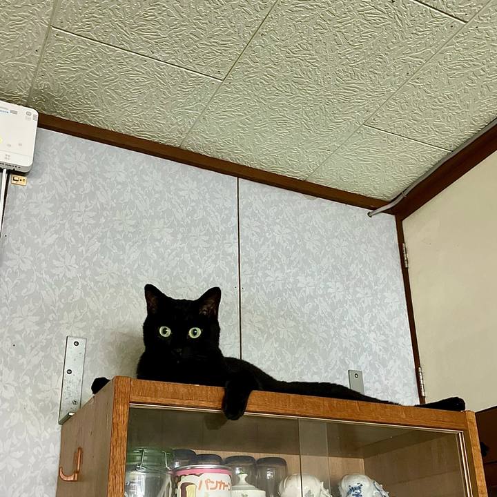 A1a0b4f4 b34e 421b 8509 68a6486a4afe 1755475580177