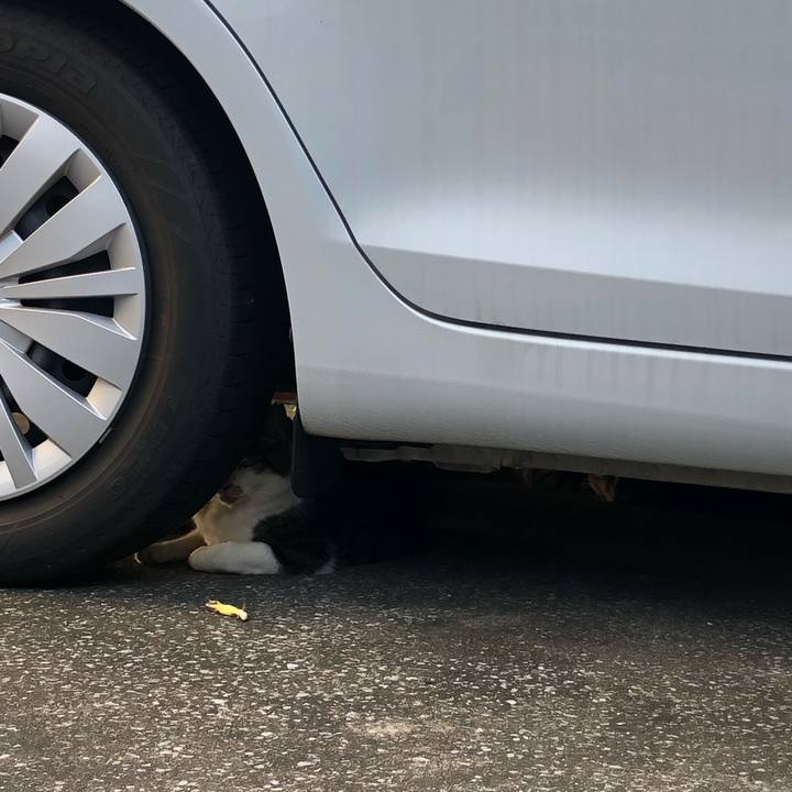 A1a0be24 95ed 4e2d a8a6 8e5706d807d8 1564849438823