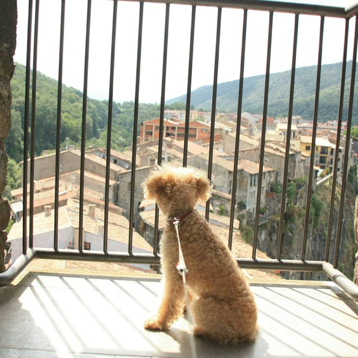 A1a0c249 55ef 4446 aec9 48b9f5490197 1532531856398