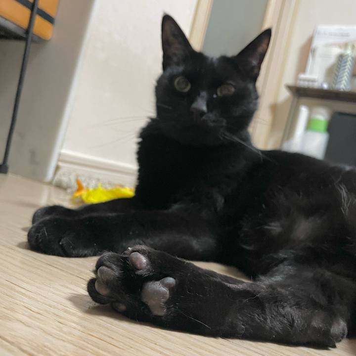 A1a0c75c 007e 4be8 a498 aca1c6c8409d 1709209073072