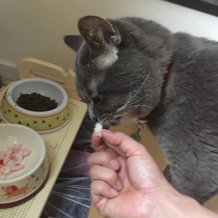 A1a0eb92 1f96 491e a766 dbf711f58a3d 1531559690678