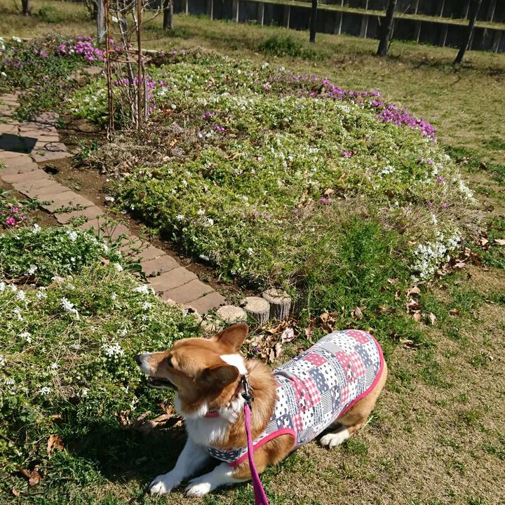 A1a10587 2bf4 4a86 905c 14077a44fd11 1553425638107