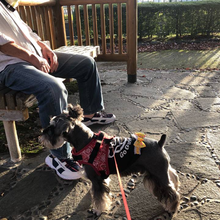 A1a156a5 97d4 4d96 b5e2 e91afc4ecfea 1572648340107