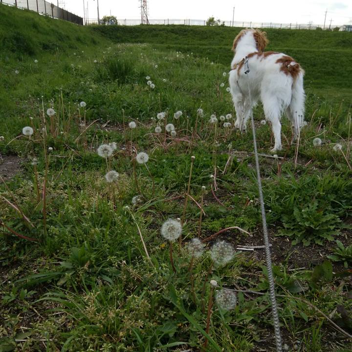 A1a15cb5 0fc7 4fb6 8a1e 7d6c19b6a231 1523794556454