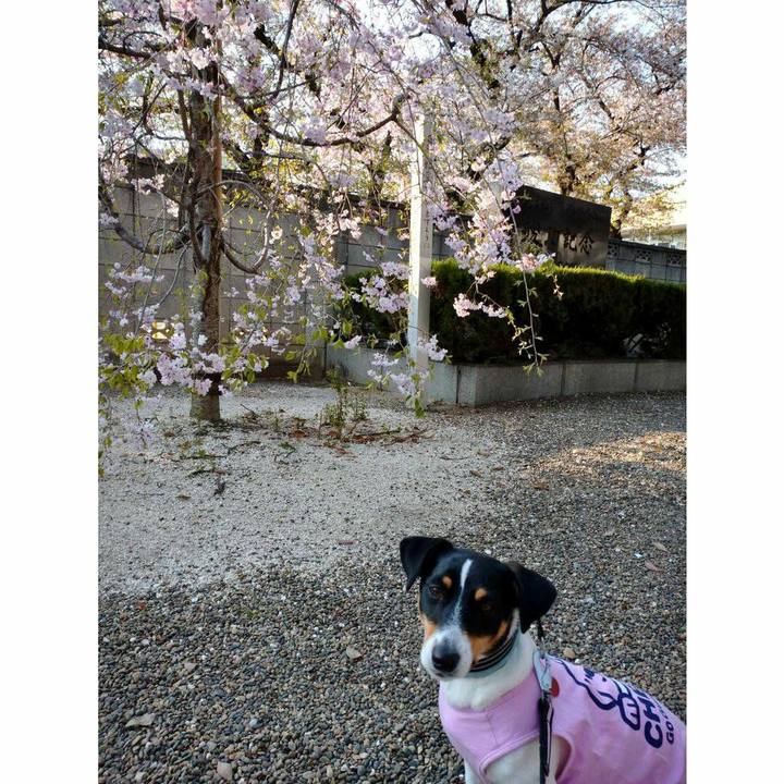 A1a1ecfe 749d 4750 be5d 6703730ebaf3 1586005334237