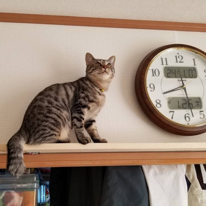 A1a26336 1225 4981 880d 180942d4f1c9 1674738487998