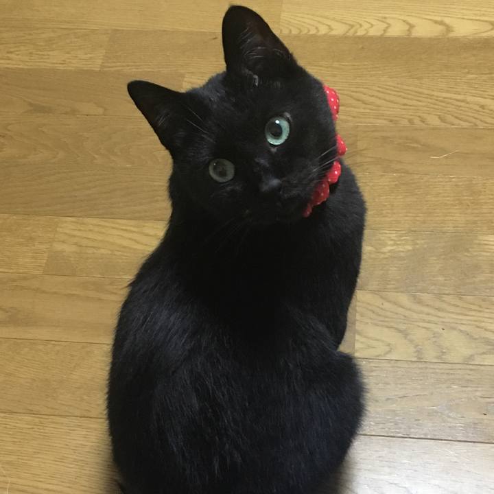 A1a28f33 7807 4176 bf13 fa968e803613 1536572857527