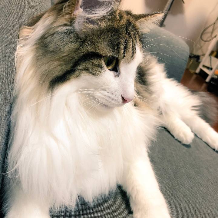 A1a2b33e 8c18 4ca7 ab09 e15612ba707c 1528902023896