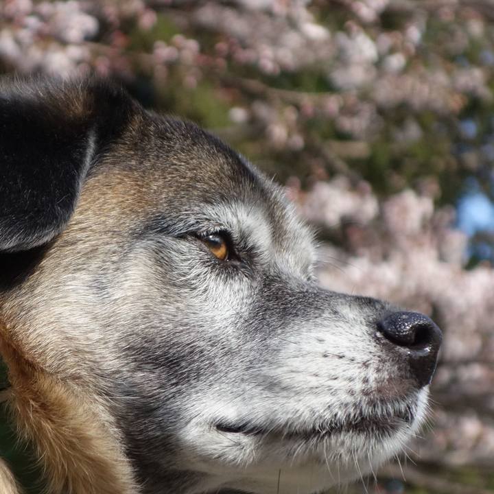 A1a2b9b9 24a9 4cd0 8f37 91be801959d9 1553483859133