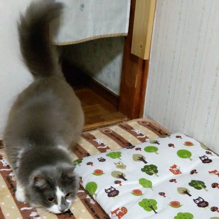 A1a2c241 7871 47a4 8e85 1621645b2de7 1608288255686