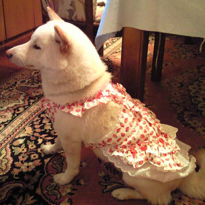 A1a2da79 8518 4a1f 8da7 58a76283422e 1656081824044