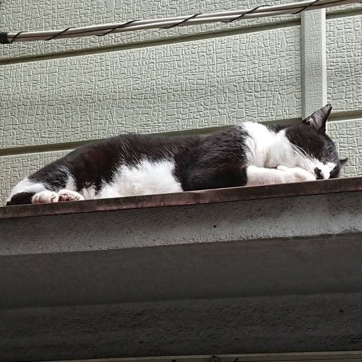 A1a2f69c 1af7 43e2 a570 64864a14de18 1696900257417