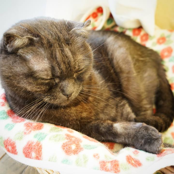 A1a31748 0f64 4f68 bc11 bbee586c33c3 1613053980866