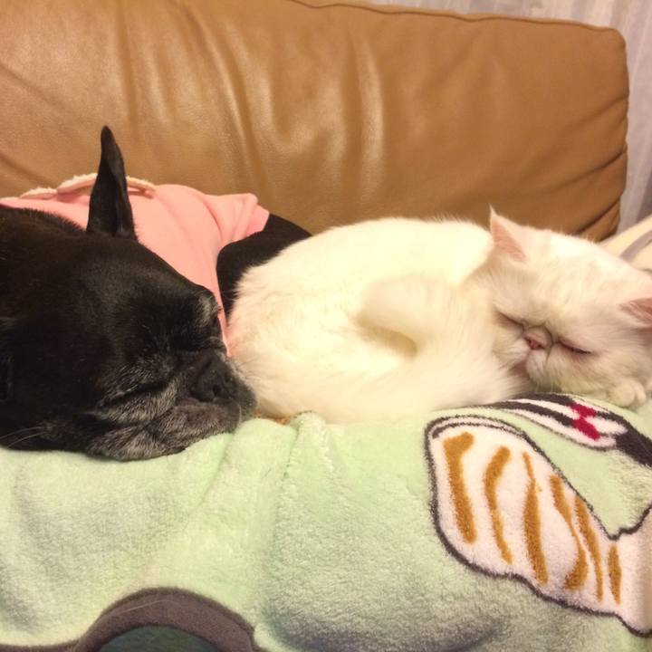 A1a323b4 5a23 49d0 b5ab d5886064d652 1516624399147