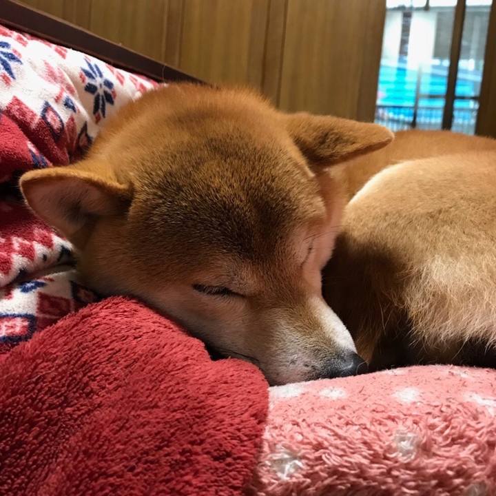 A1a35bf9 8607 45e0 9d1a aaa776d69e2b 1515728615024