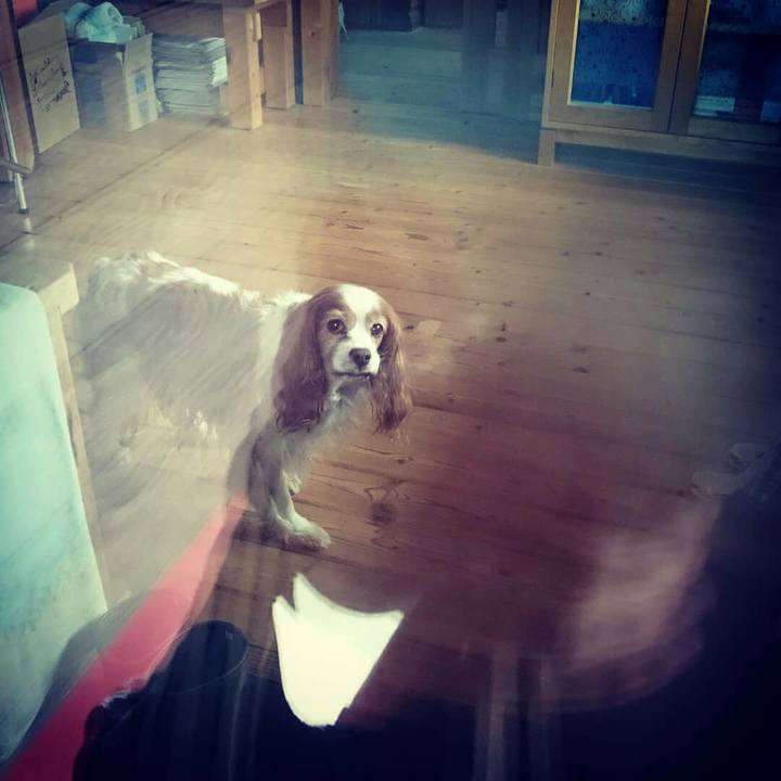 A1a35fb2 e2d5 4586 a7f5 717871332fa7 1529052698942