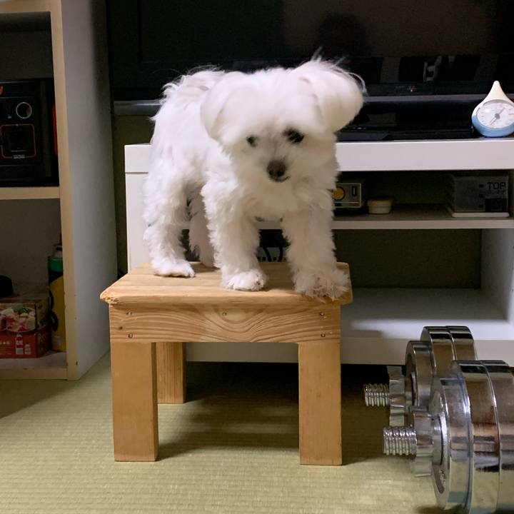 A1a375f2 cb76 448b aa81 855fa68c2586 1667548426772