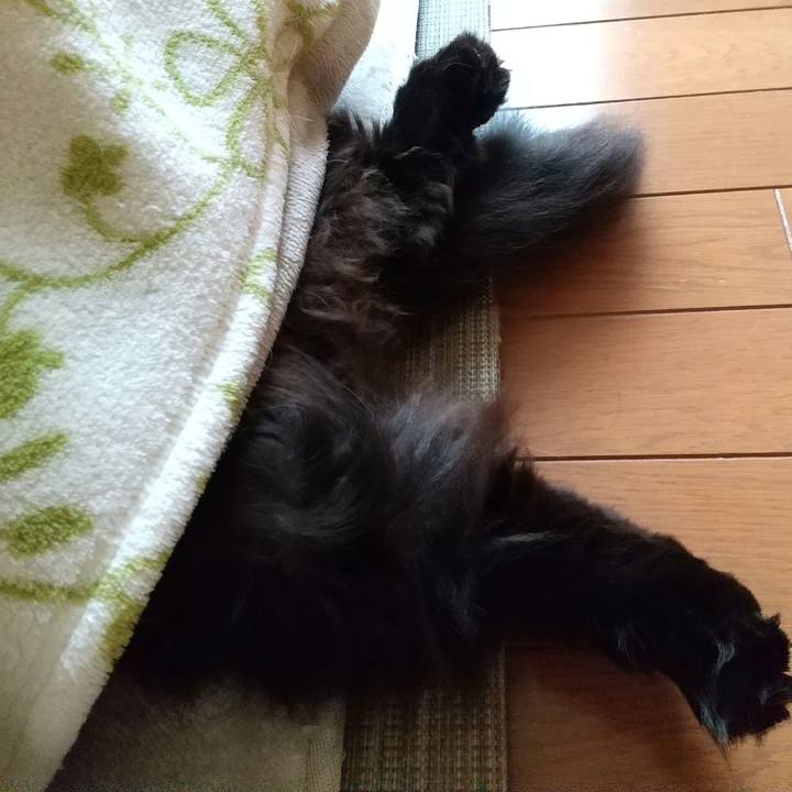 A1a37975 d72e 4bf0 ba6b dd4526b35bc2 1584835184889