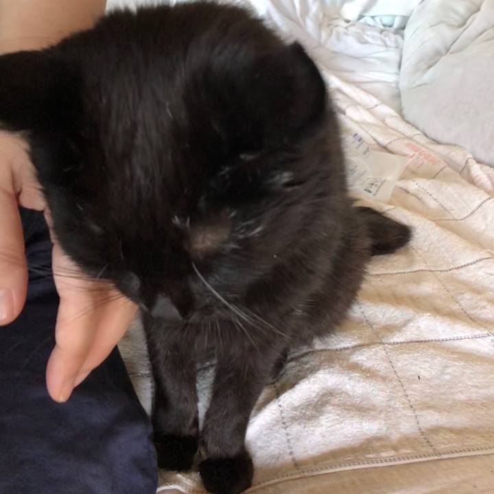 A1a3ba55 c9df 42ec a982 bdd2d682a37c 1597136890591