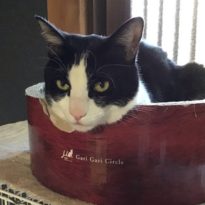 A1a3f1f4 07d1 443b 8b23 4825942e3ff4 1744793934789