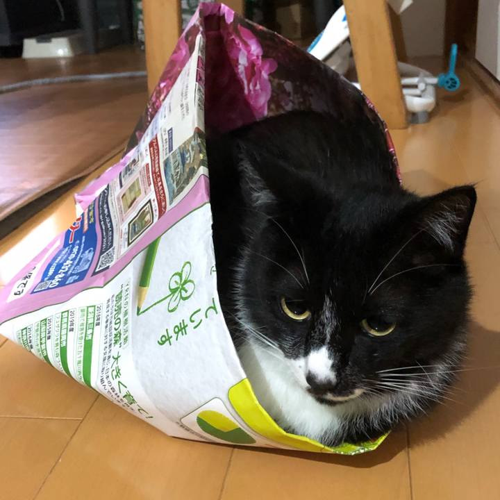 A1a43c88 b64d 4c2f 9de3 f9794aeee2f9 1624851218866