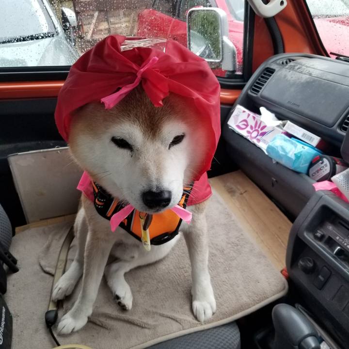 A1a461e2 72ee 409f 9edd 0d13f97feb1e 1667279142910