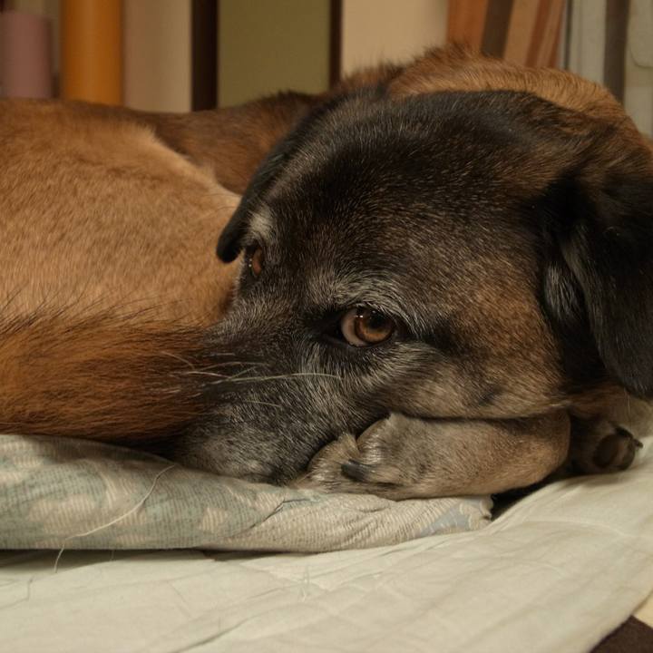 A1a47ed6 6ff6 4ded 9137 1f04a0f43667 1584404514754