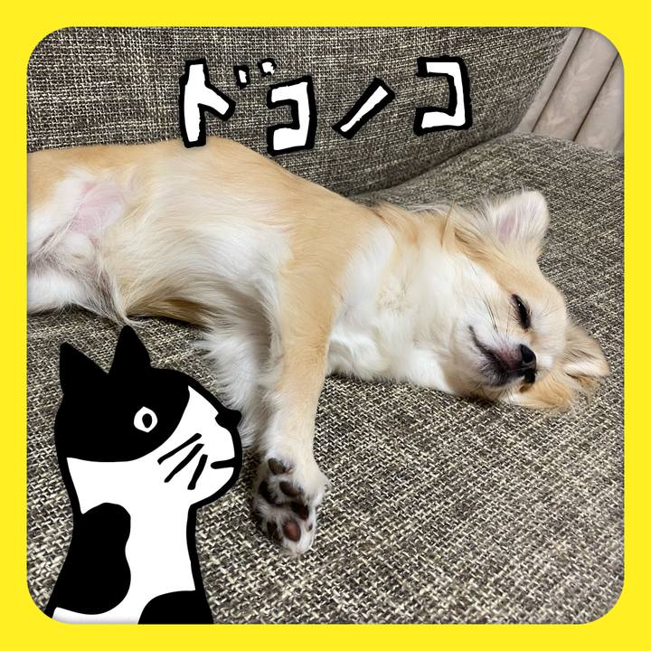 A1a48d52 03e4 47fa 8ef5 3fbd7c4af77b 1622886160520