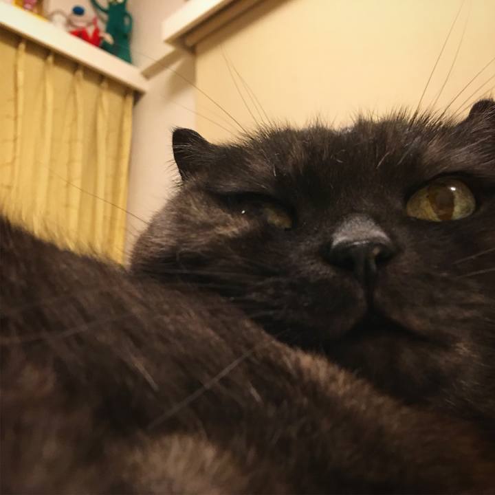 A1a4e1c0 7747 43ad ac93 cef2dc4ef8ee 1525455727913